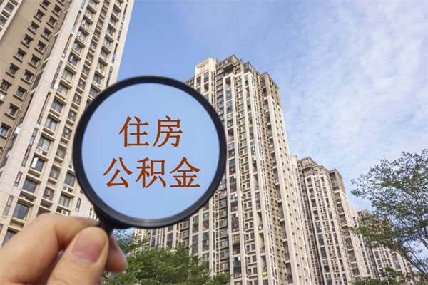 禹州提取公积金找人代办（代取公积金需要本人去嘛）